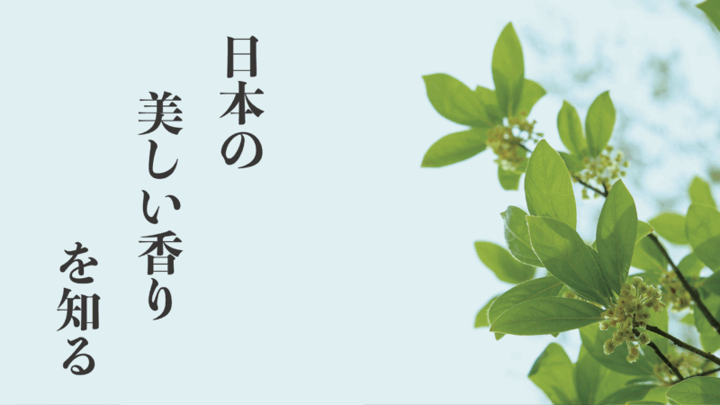 香木